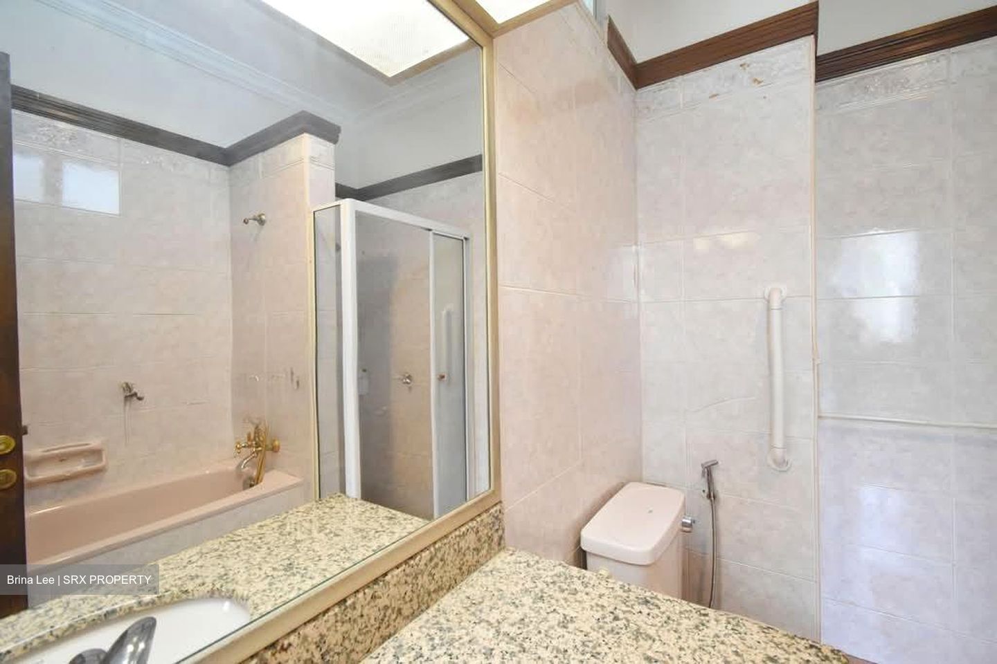 Henry Park (D10), Detached #549579931